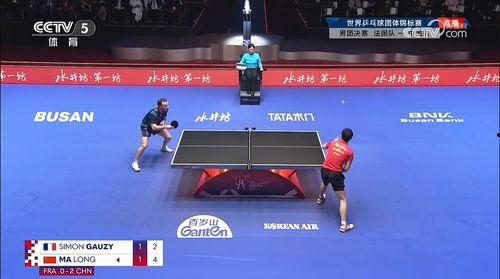 国乒男队爆料视频最新版,备战奥运背后的艰辛与荣耀